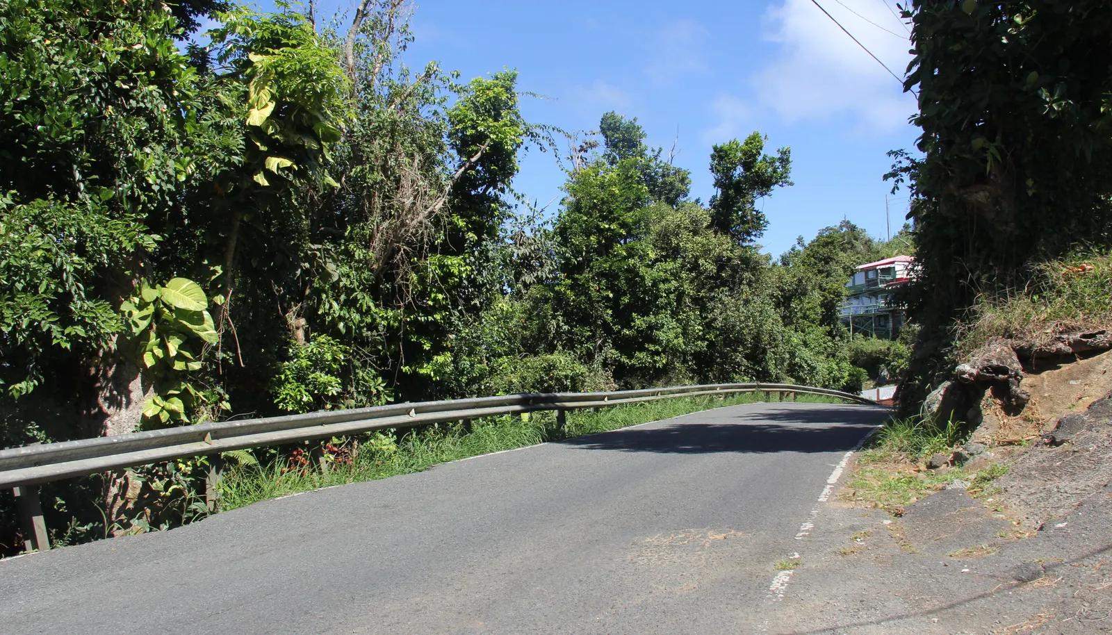 Image 12