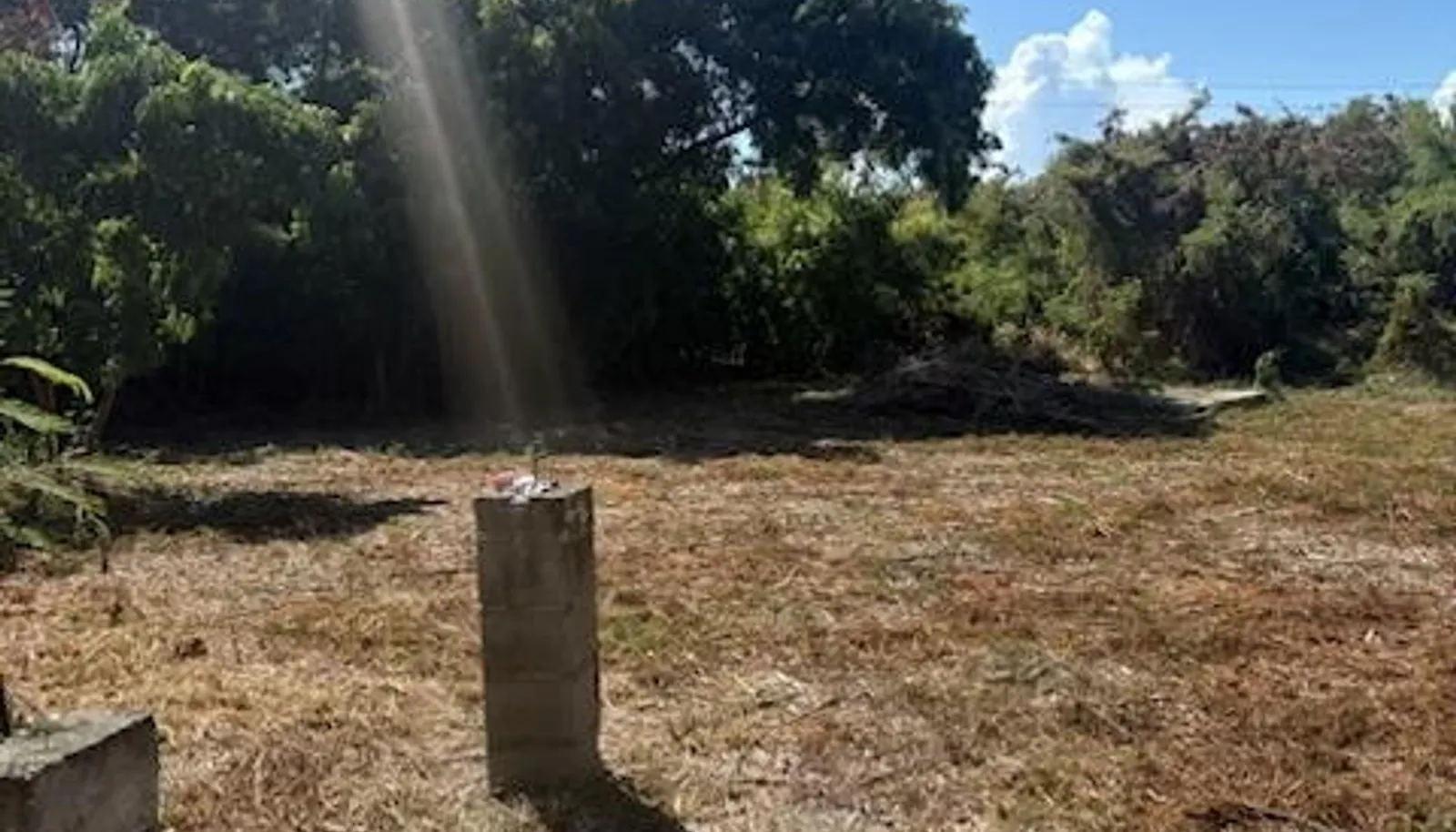 Image 15
