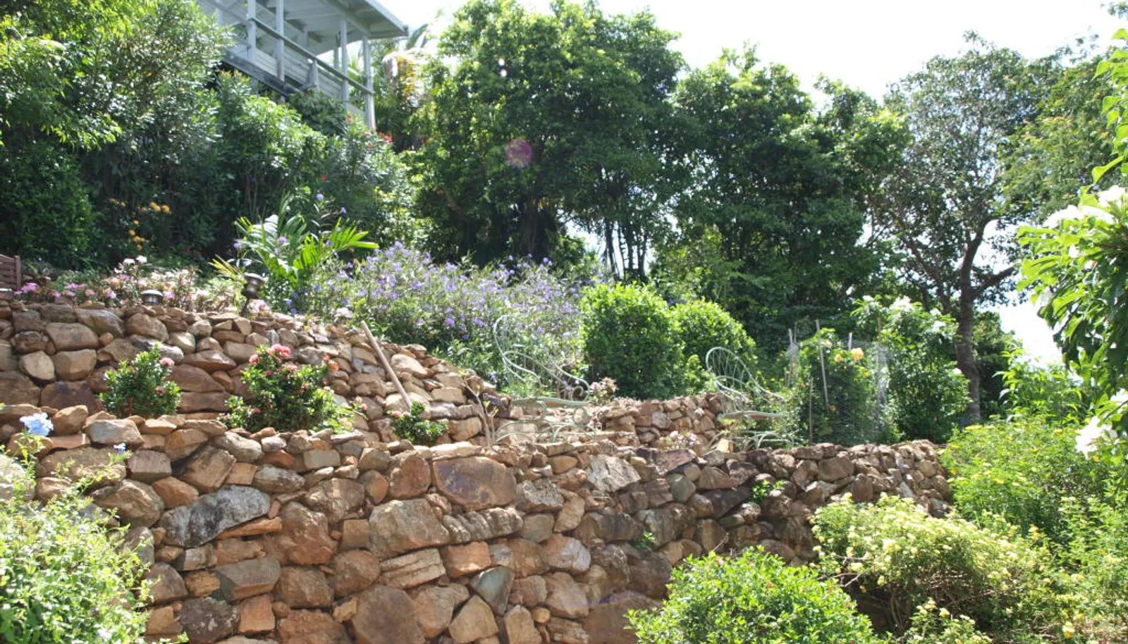 Image 12