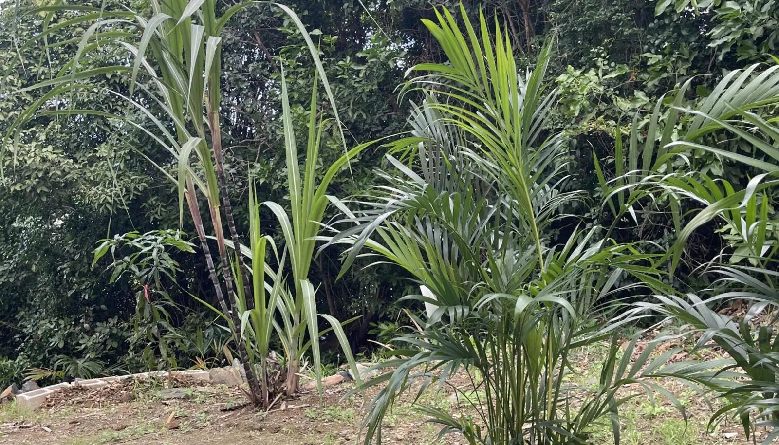 Image 15