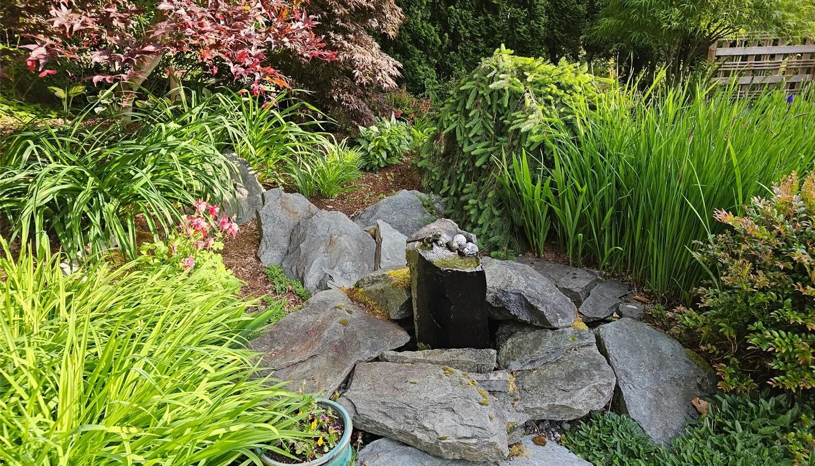 a closer look at this fantastic water feature