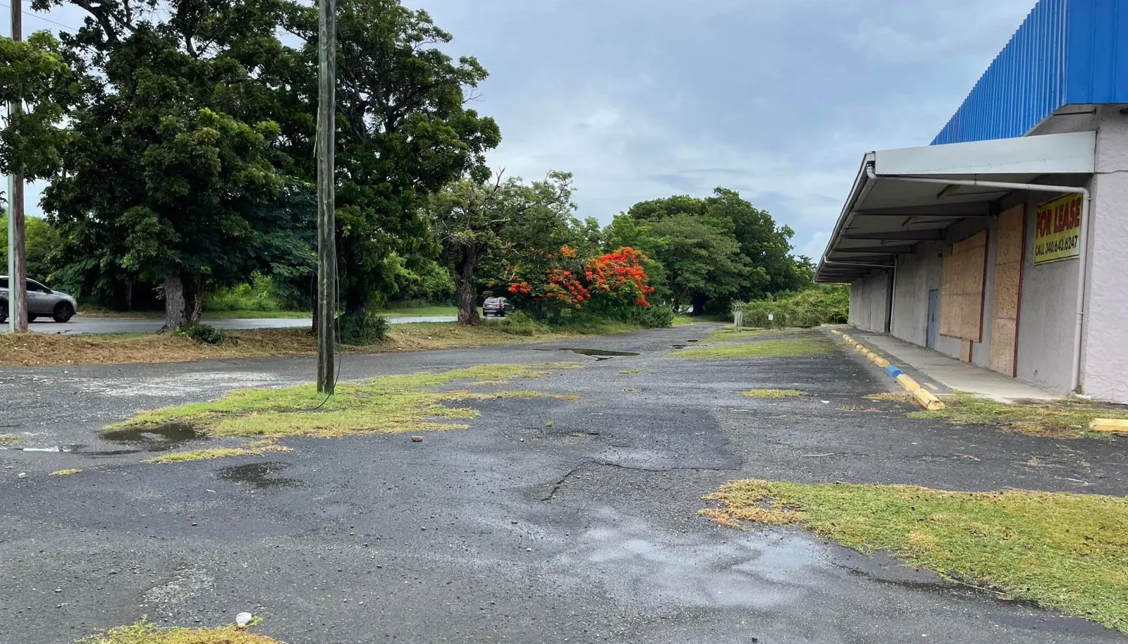 Image 19