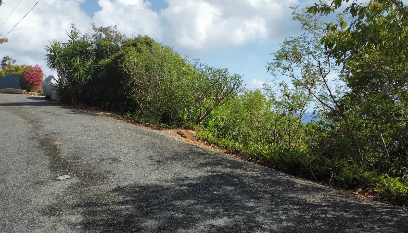 Image 18