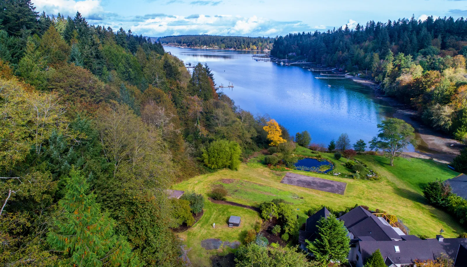 Tons of sunshine, perfect for more fruit trees; vegetable gardens!