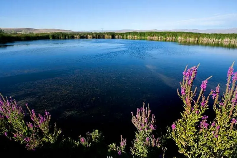 One of Three Lakes. 60 acres of water!! Irrigation is possible out of Hilltop lake via a M & I contract with the Bureau of Reclamation. Municipal water rights are available for purchase and transfer.