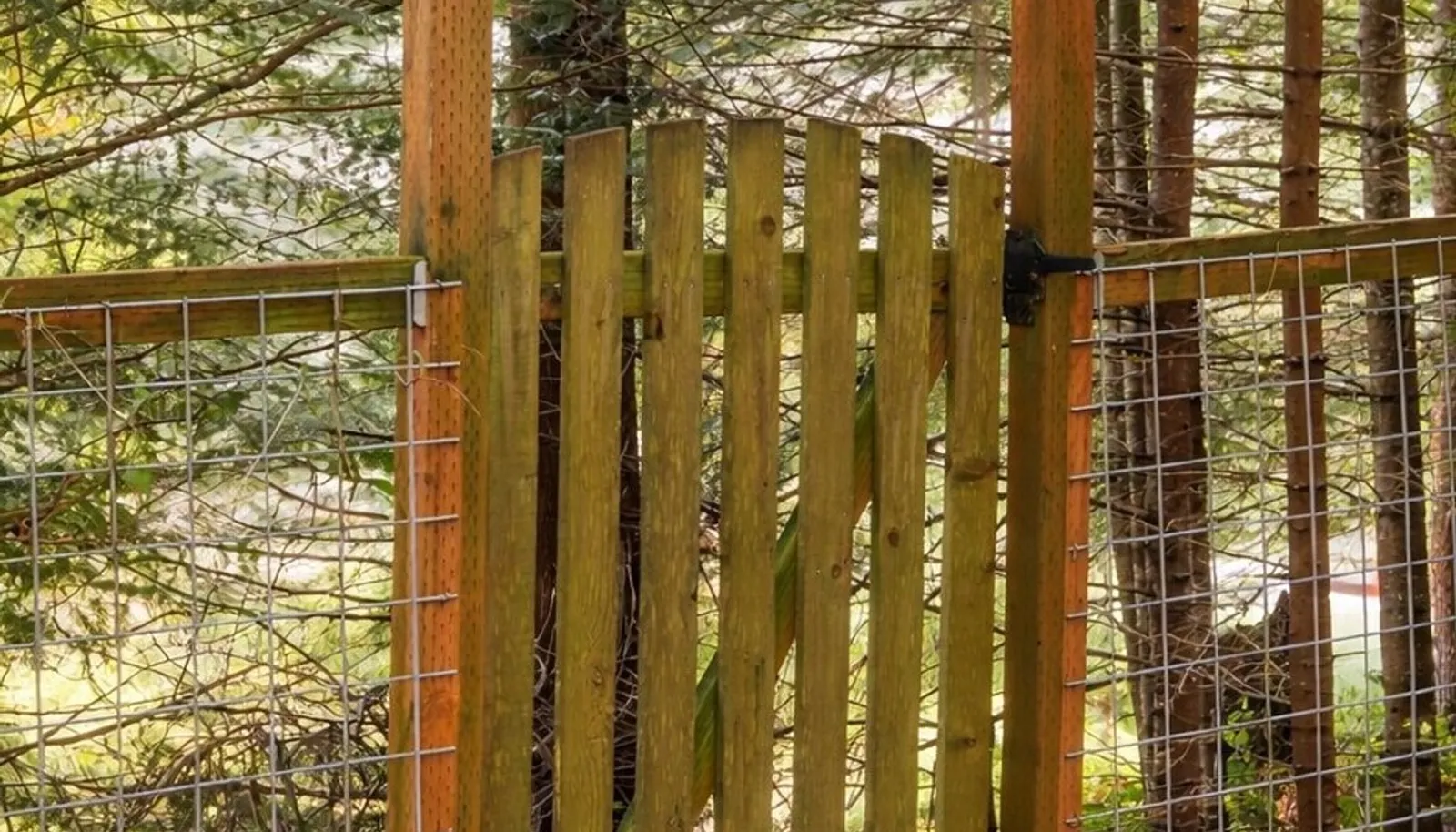Private garden gate at the rear of the property with potential connection to the surrounding greenbelt.