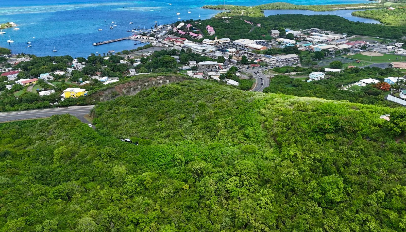 Image 11