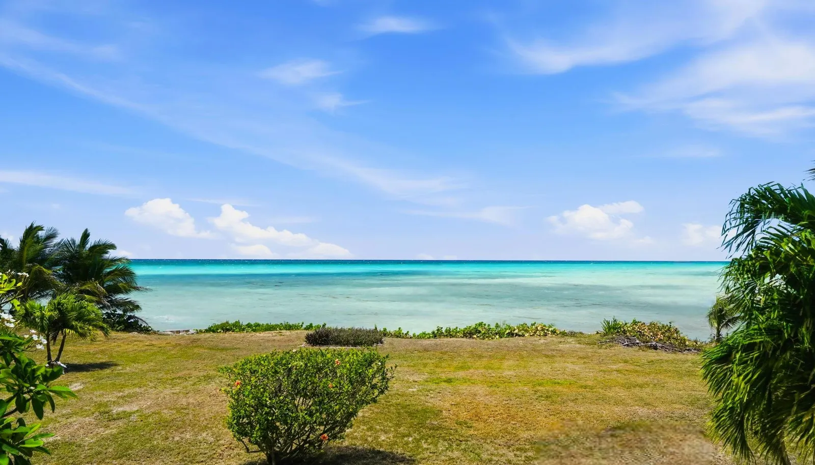Image 38