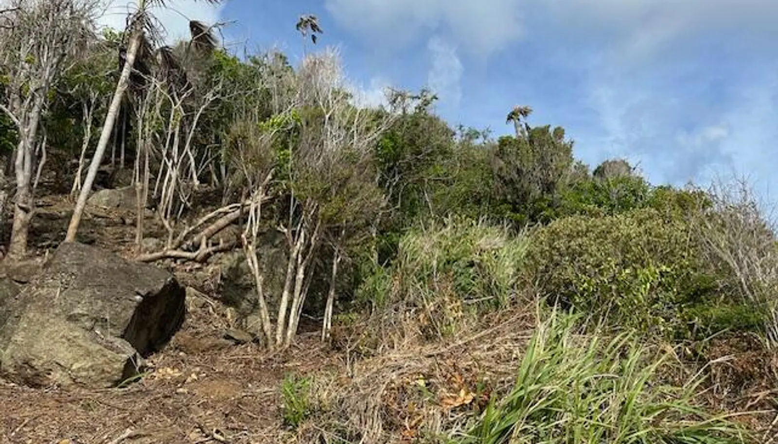 Image 18