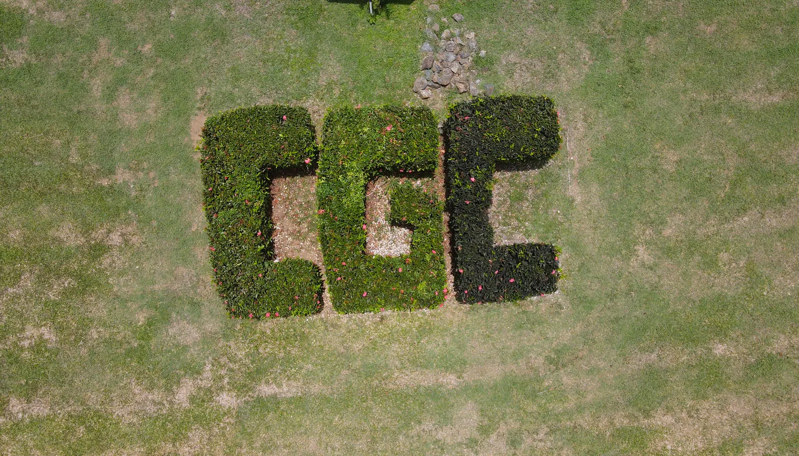 Image 51