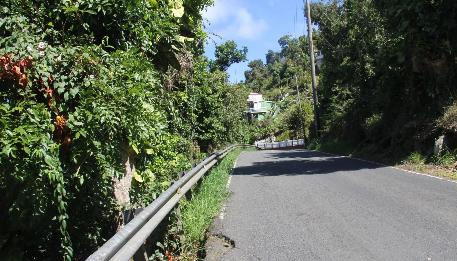 Image 13