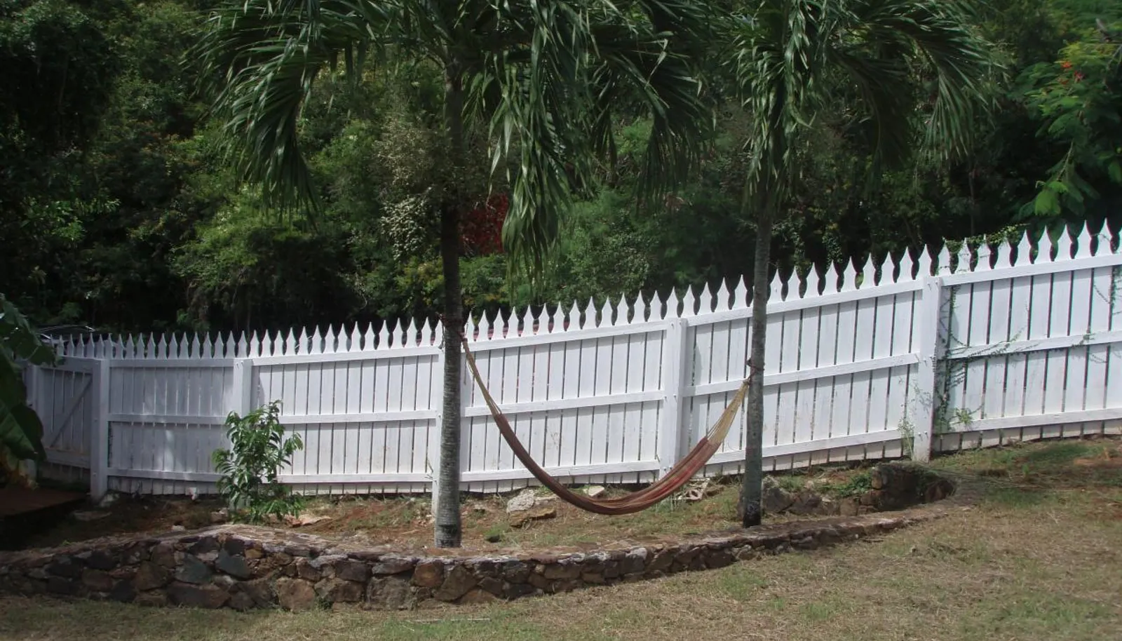 Image 13