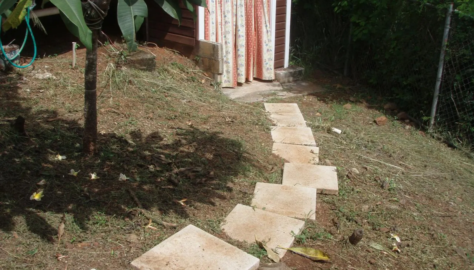 Image 17
