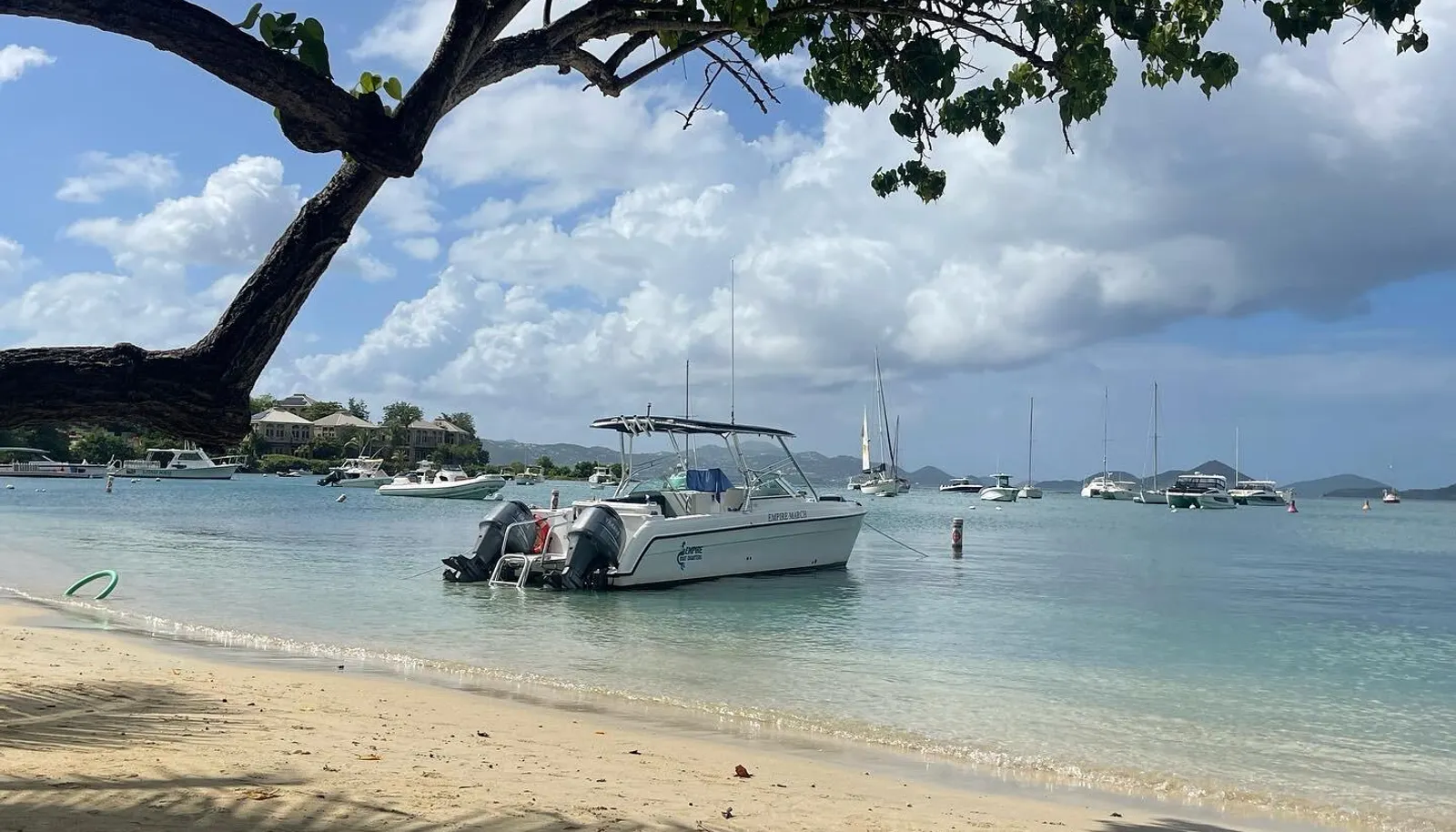 Image 10