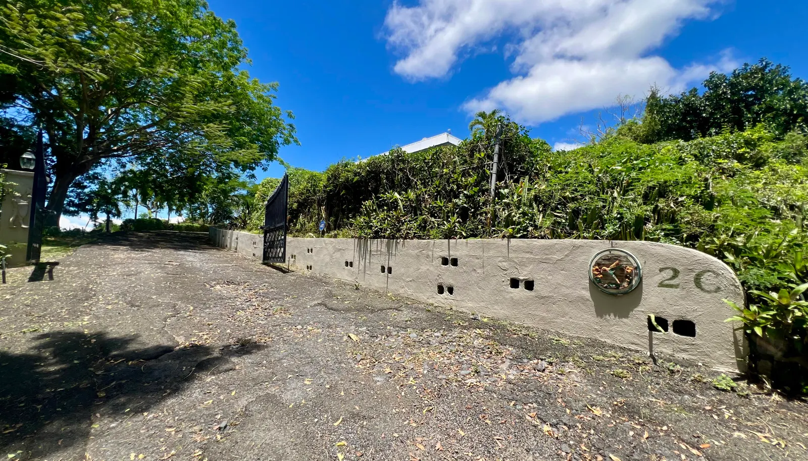 Image 15