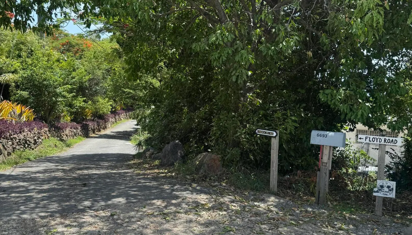 Image 12