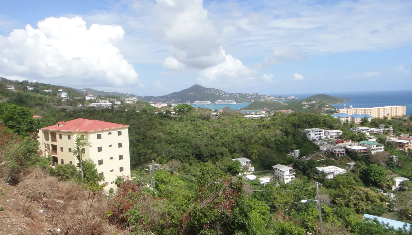 Image 8