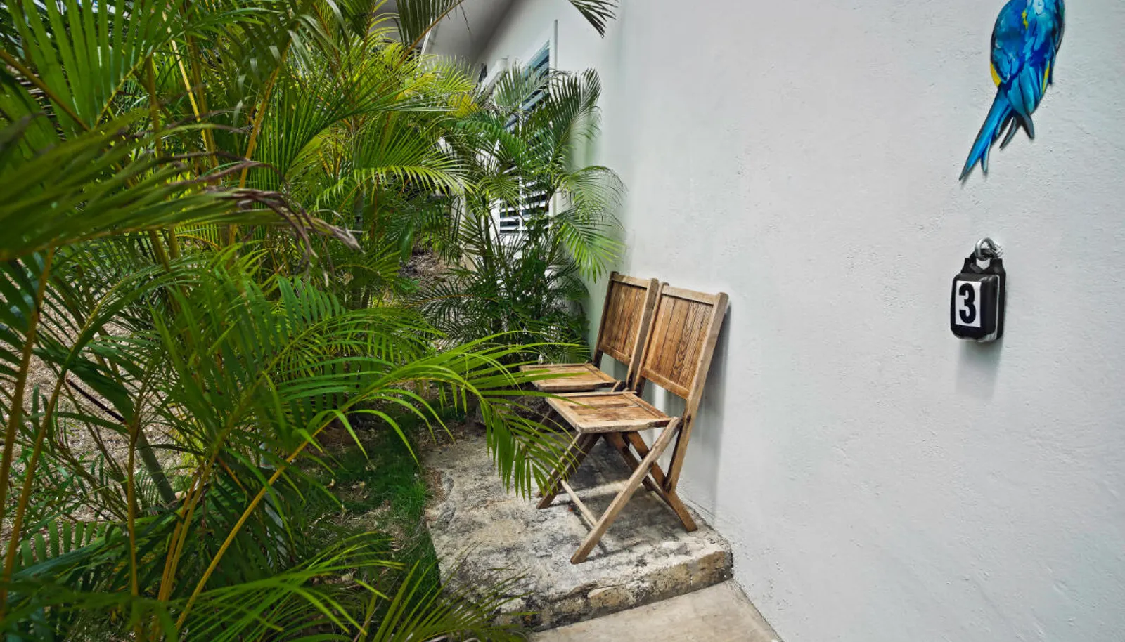 Image 49