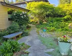 enjoy the mature foliage and the lilac starting to bloom
