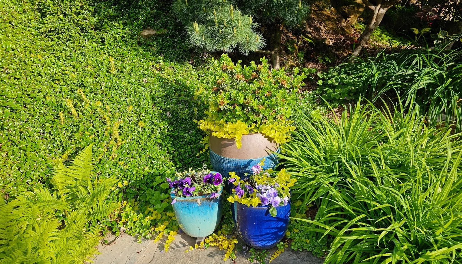 enjoy the space to have your favorite flower pots
