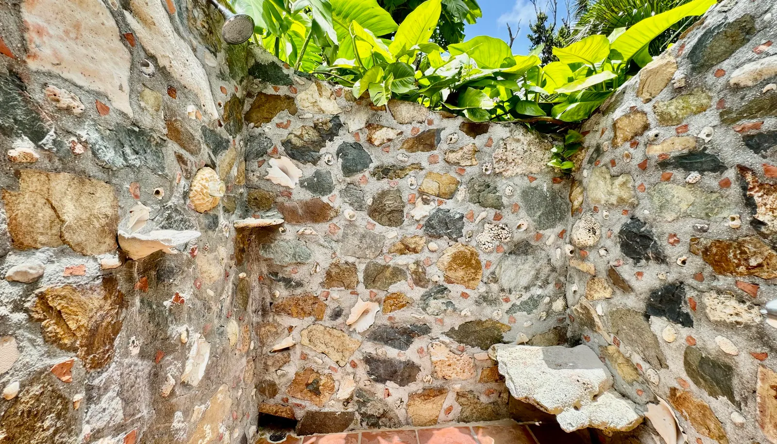 Image 50