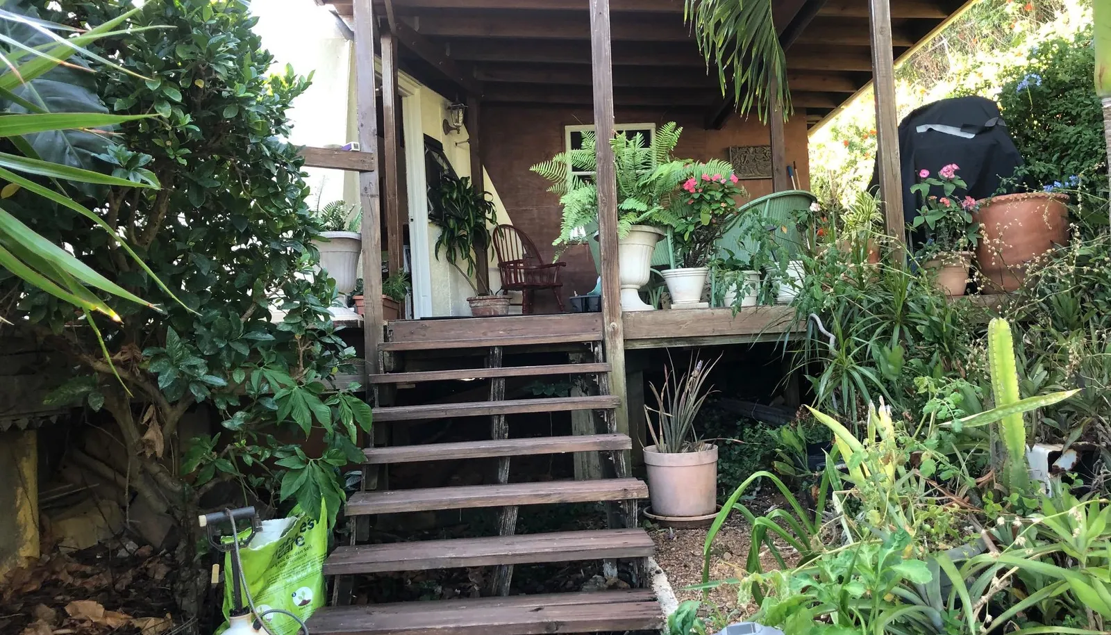 Image 8