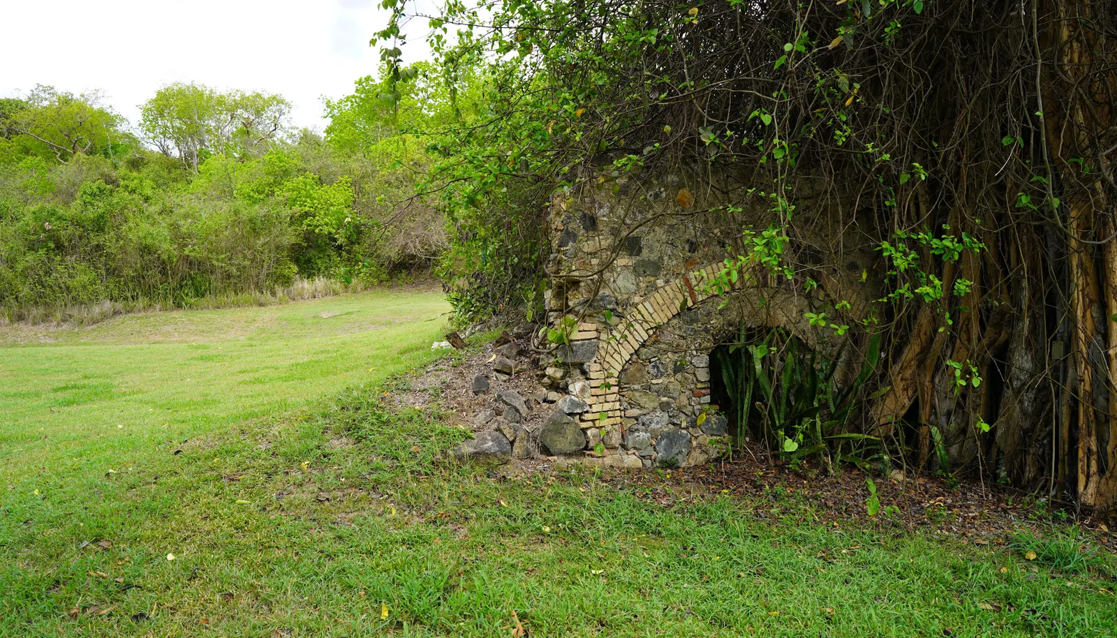 Image 57