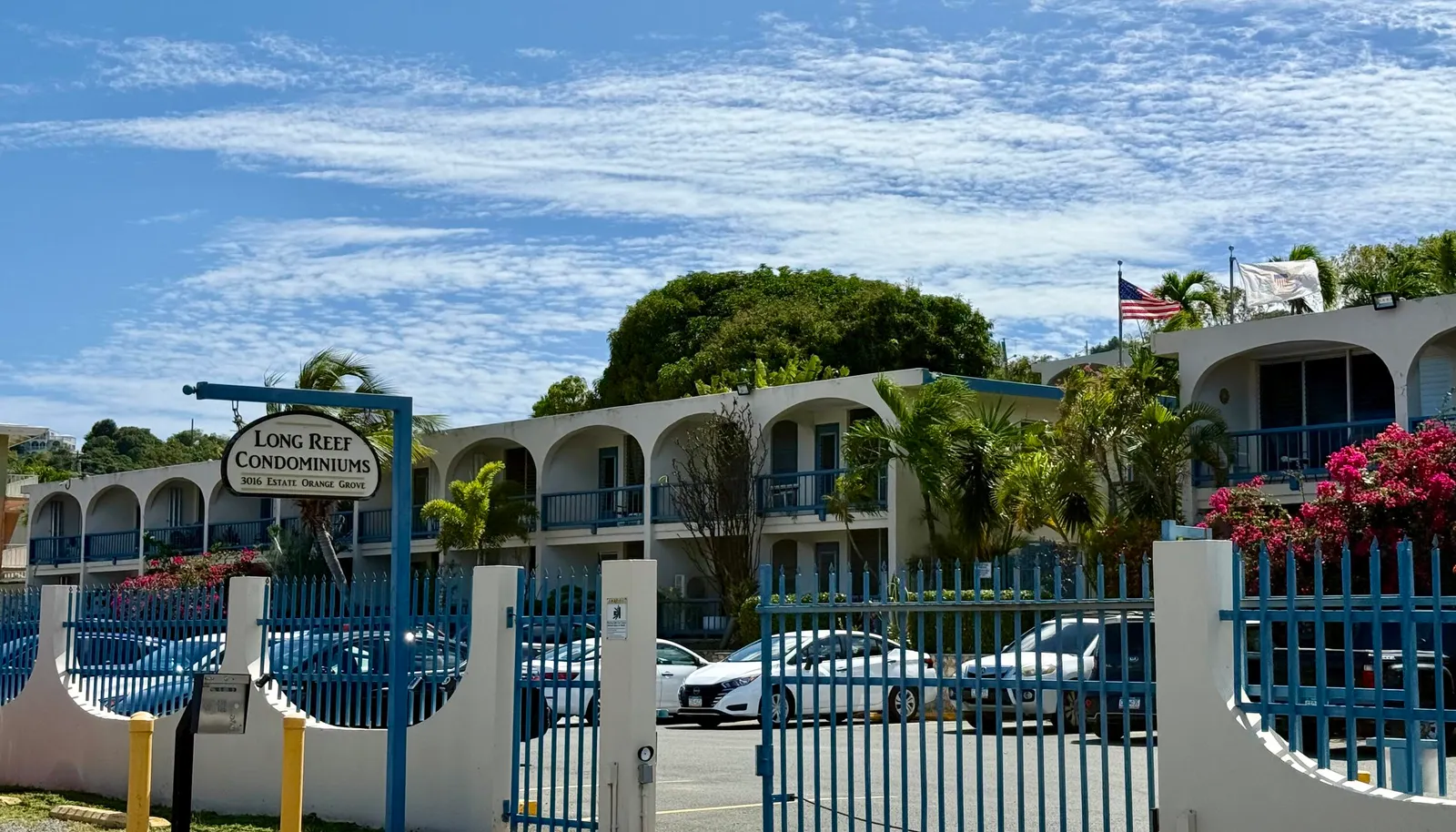 Image 11