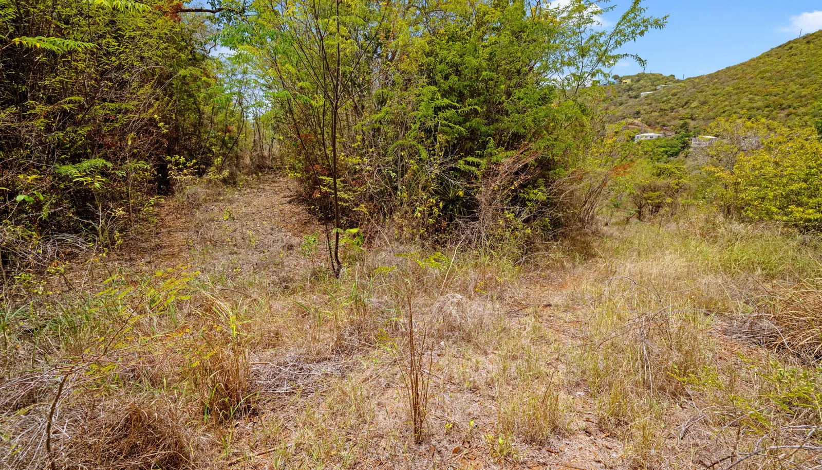 Image 61