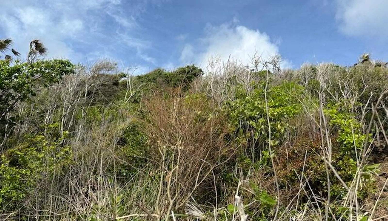 Image 16