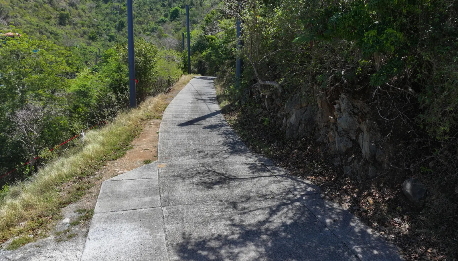 Image 15