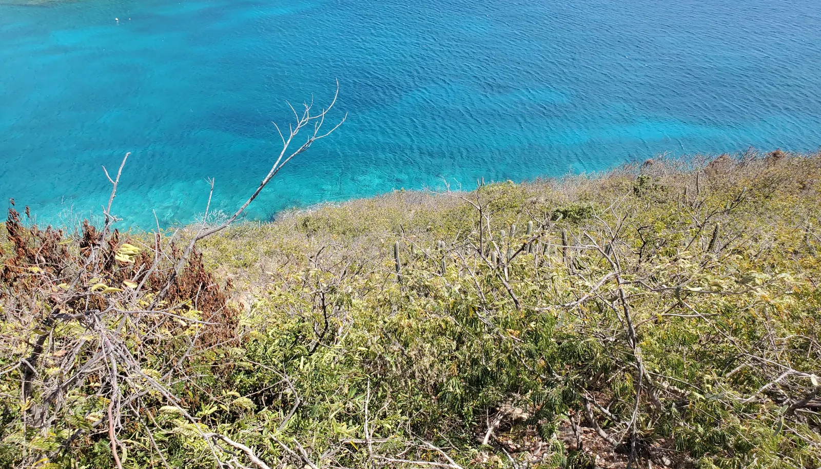 Image 6