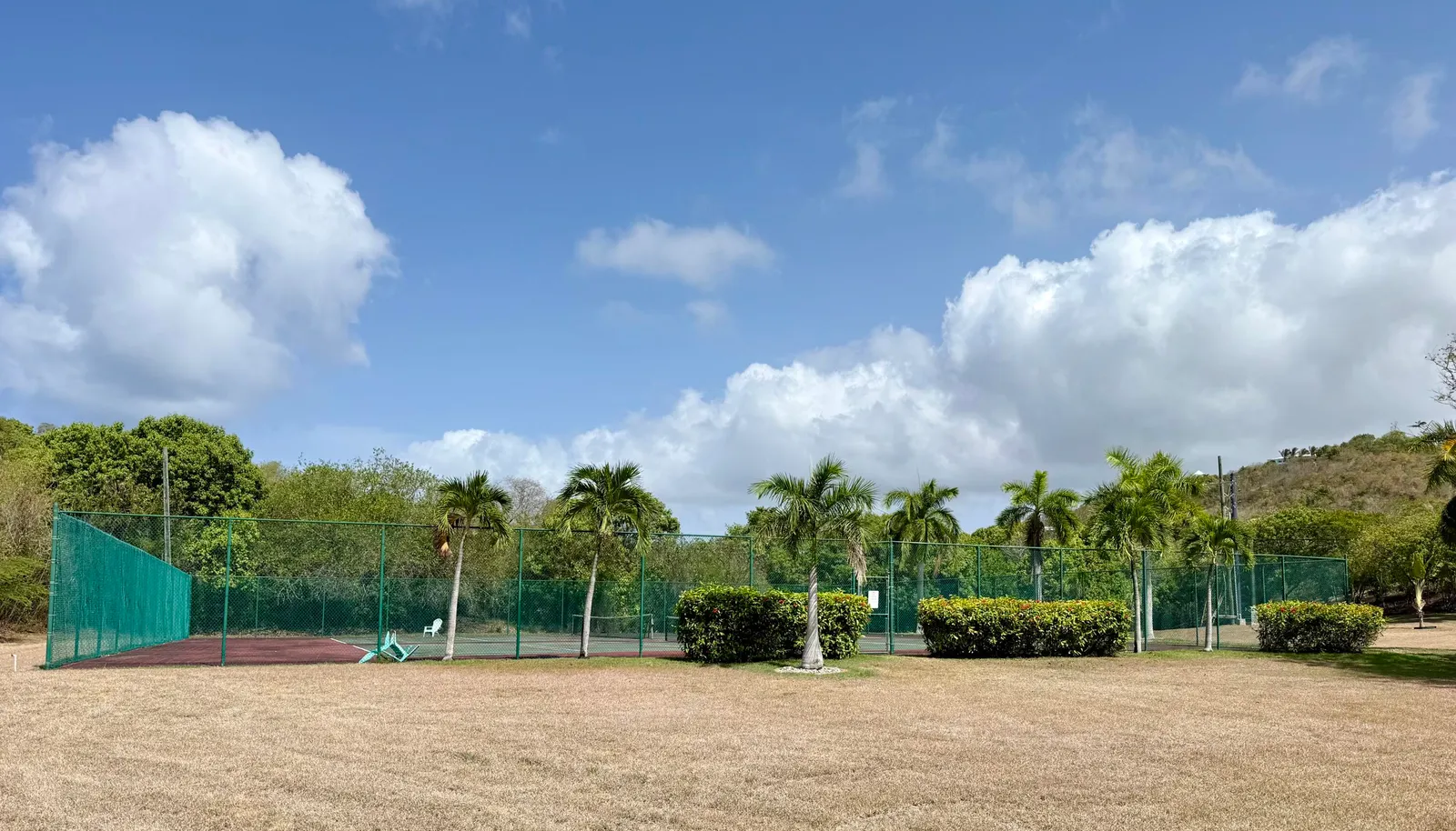 Image 21