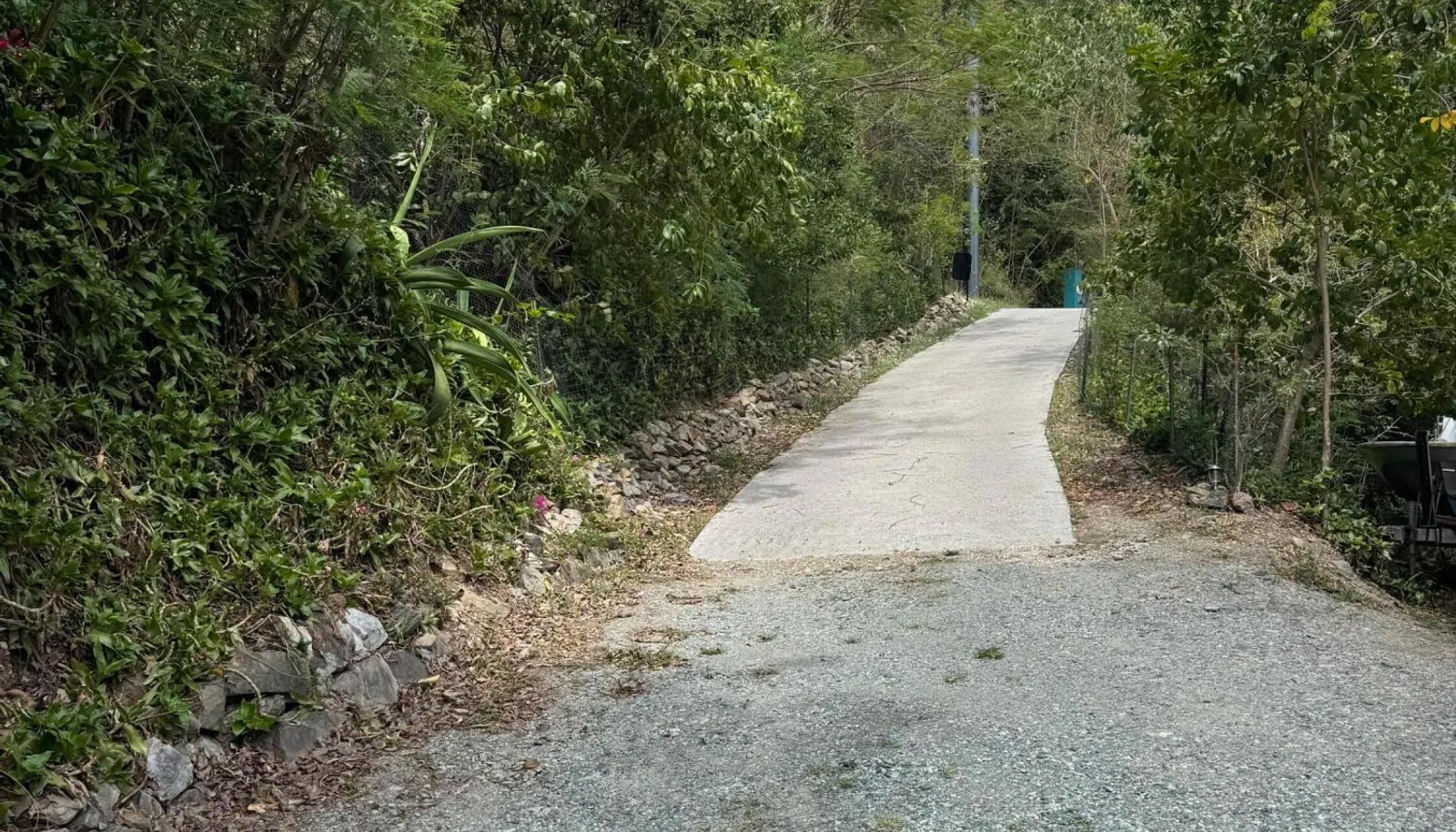 Image 46