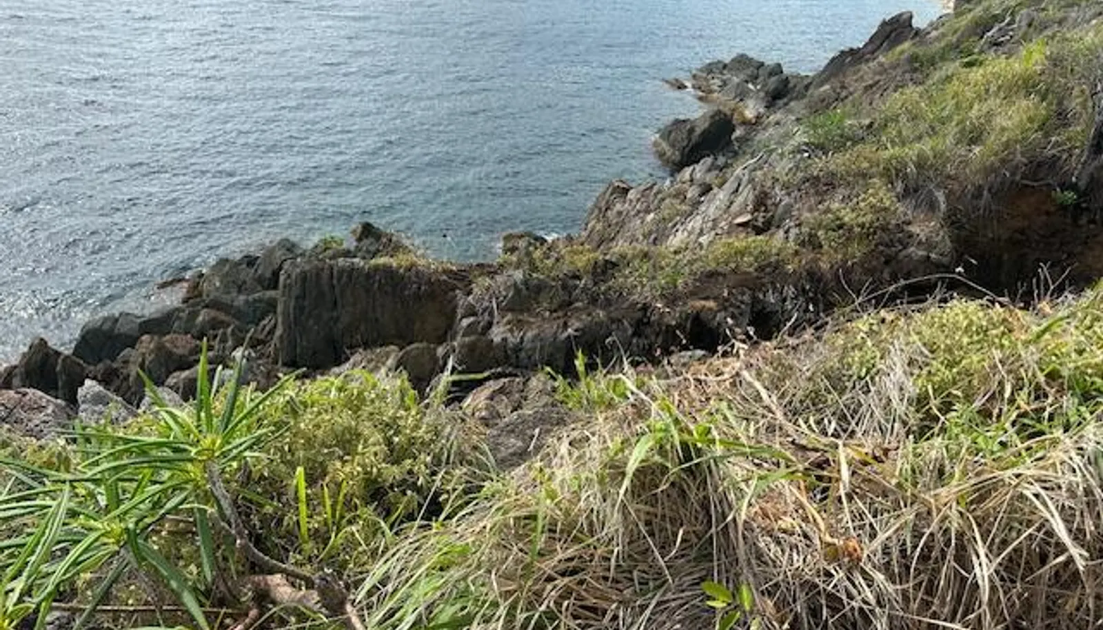 Image 19