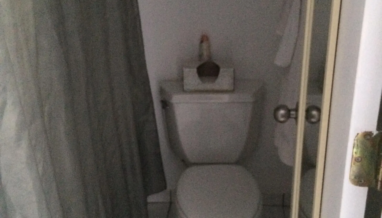 Image 21