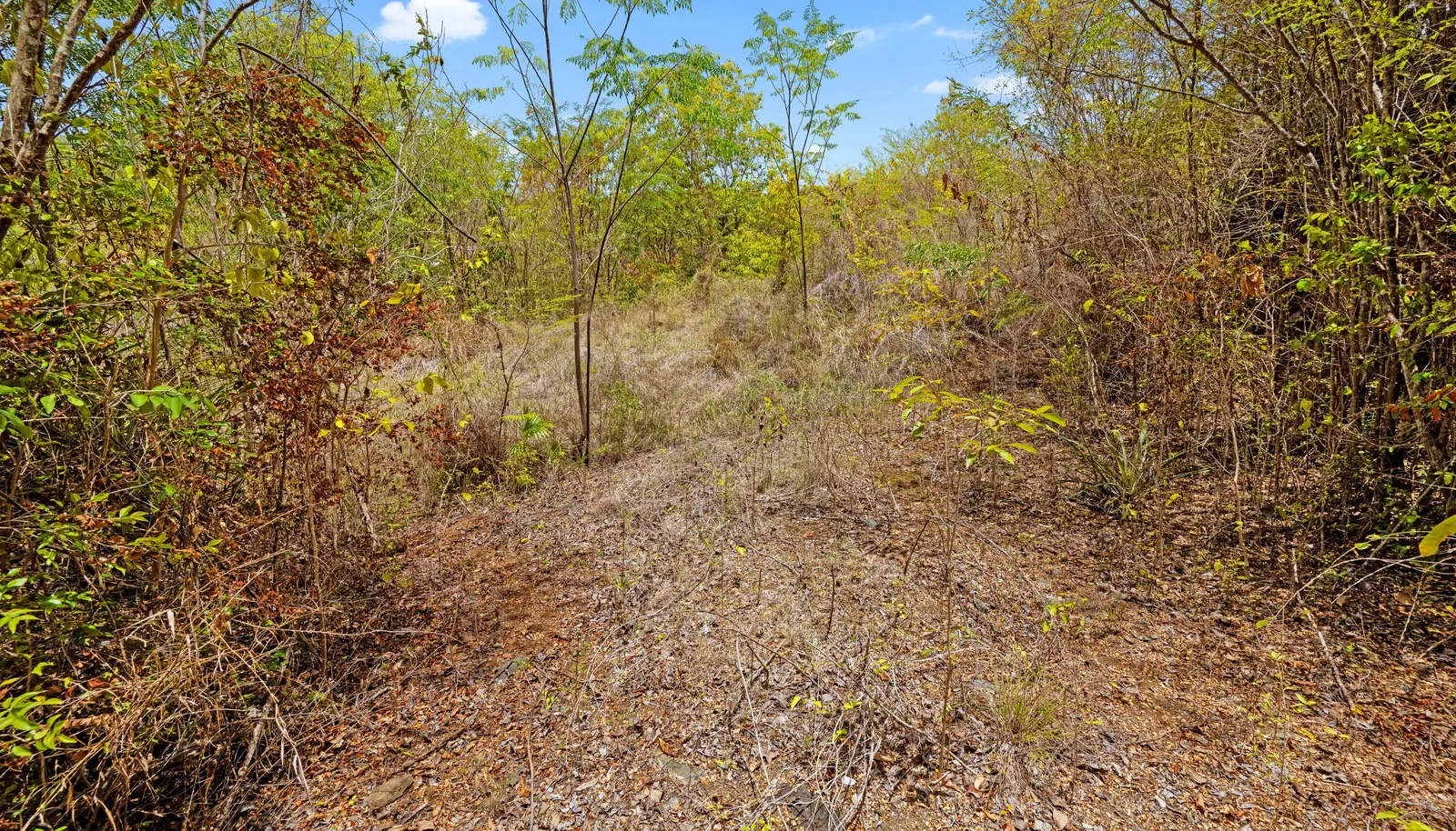 Image 62