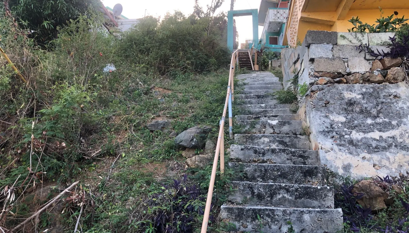 Image 19
