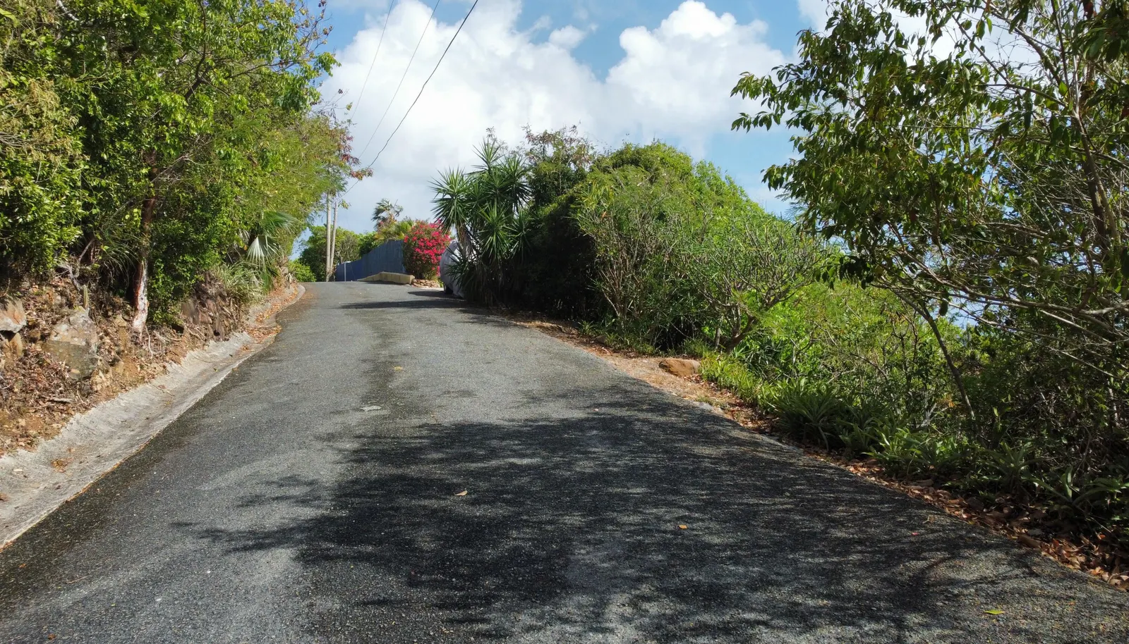 Image 19