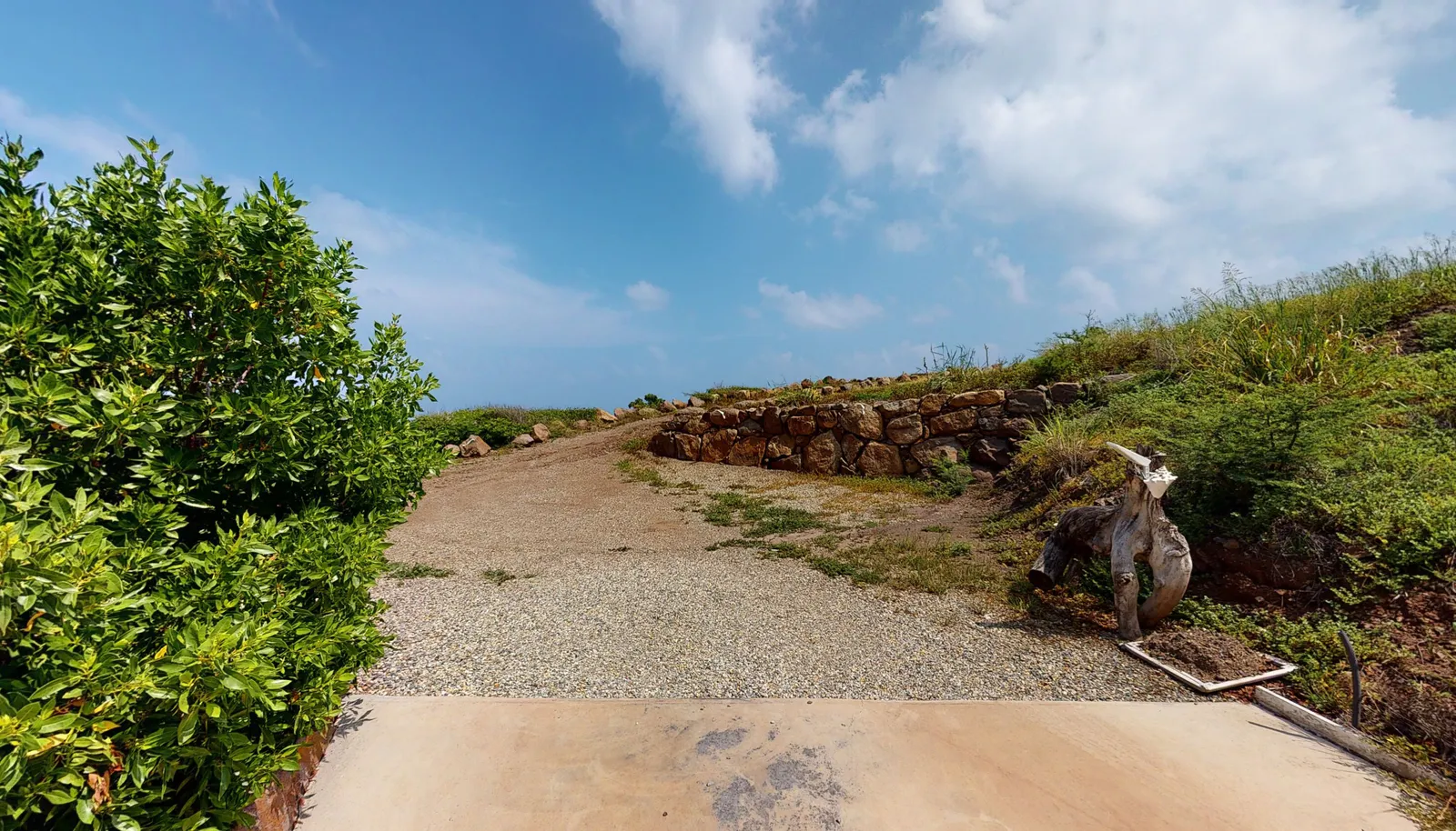 Image 33