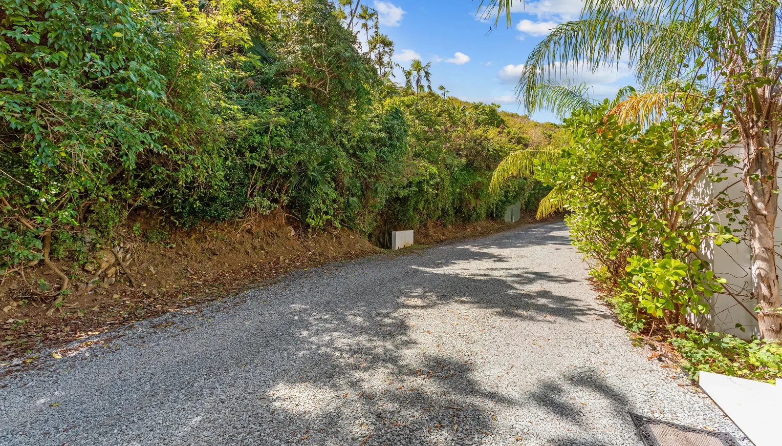 Image 86