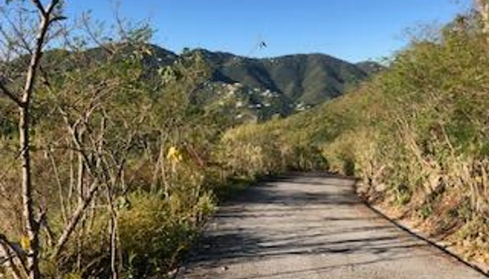 Image 6