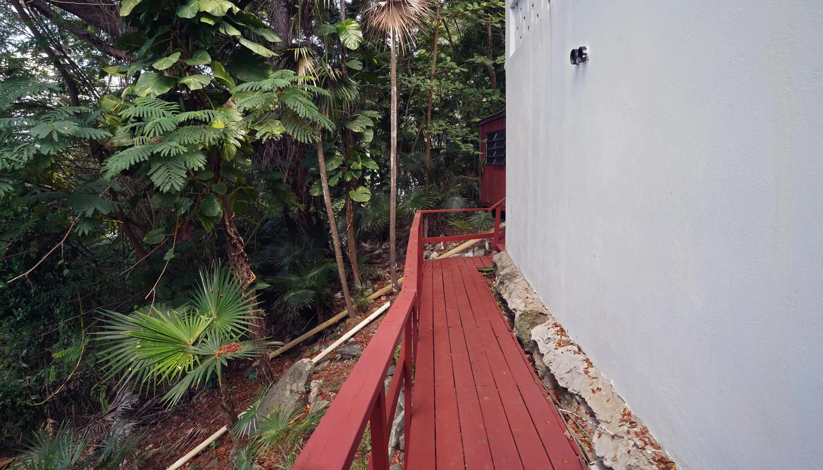 Image 61