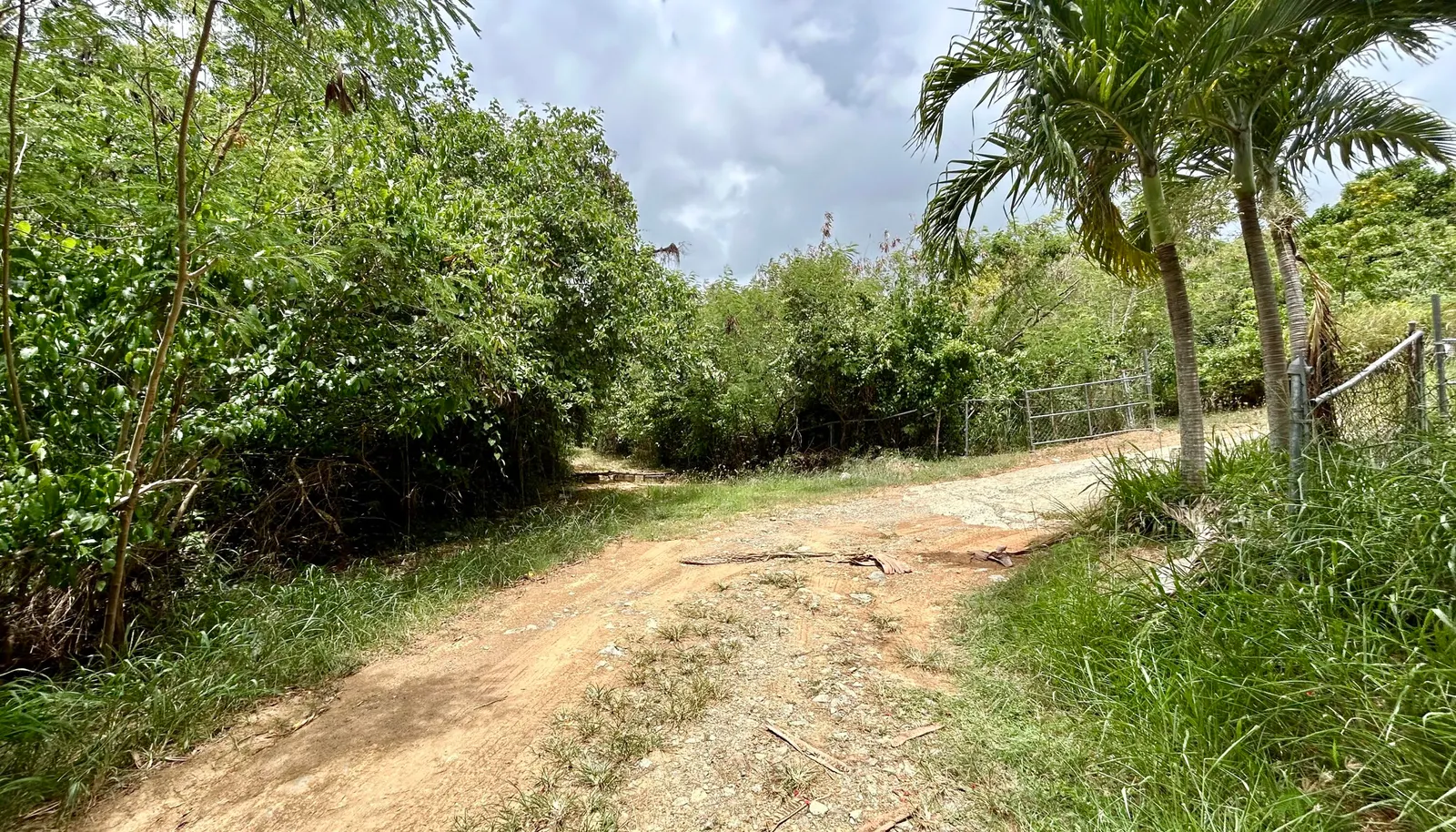 Image 12