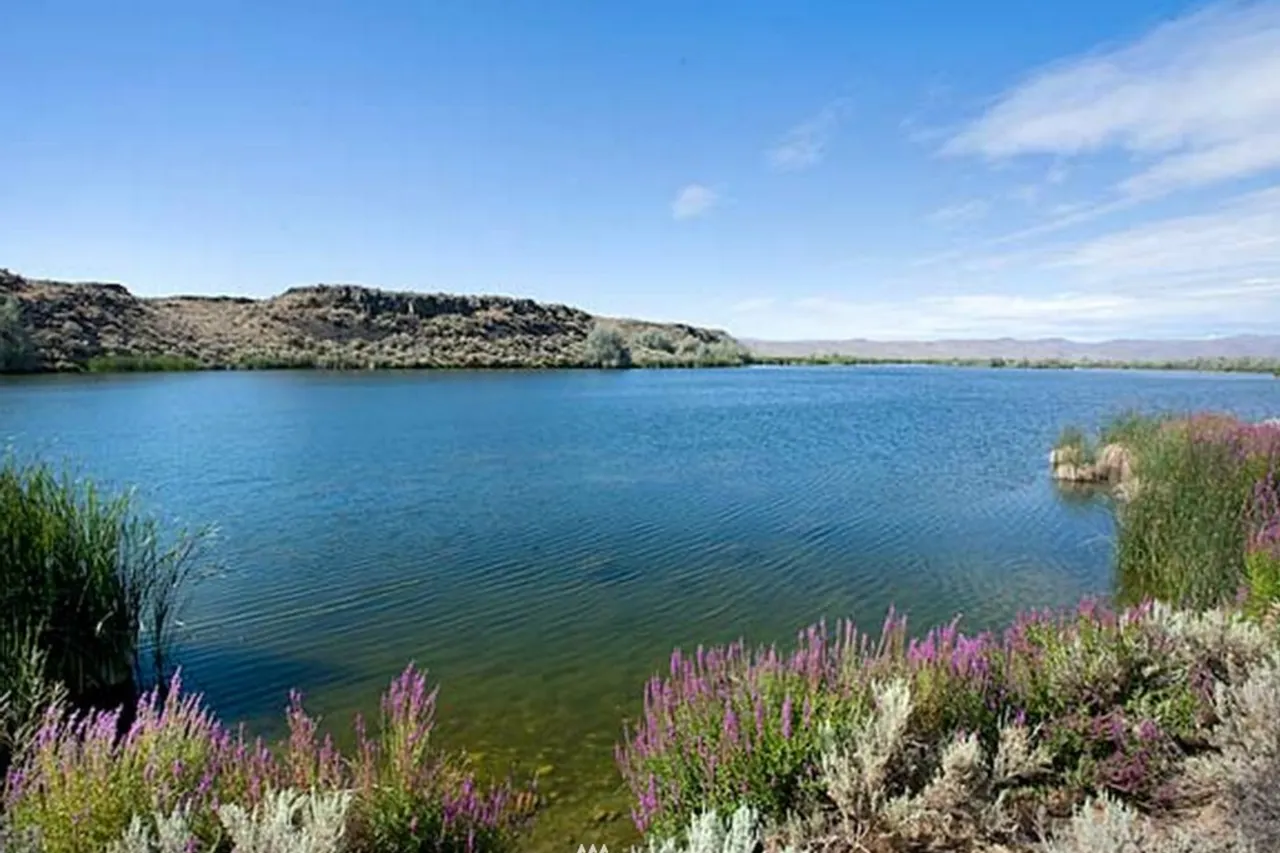 View from east end of Hilltop Lake, a 30 acre water body --- home to ducks, geese & bass galore! 5000 front feet of low bank/lake frontage.