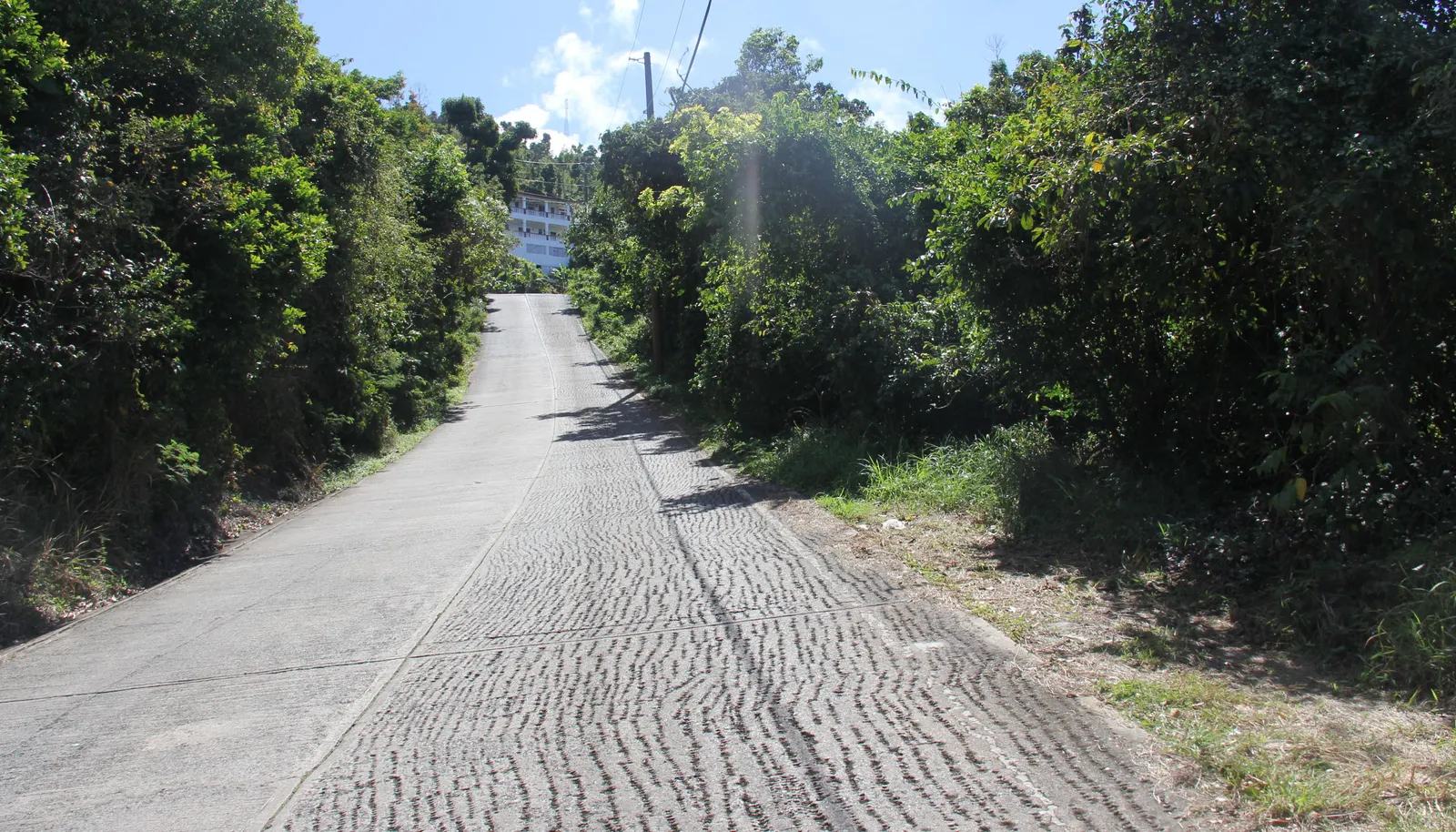 Image 10