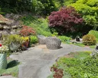 lots of beautiful mature trees and plants in this custom landscape