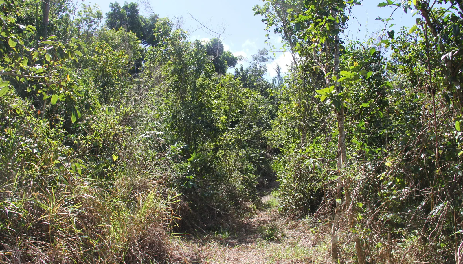 Image 6