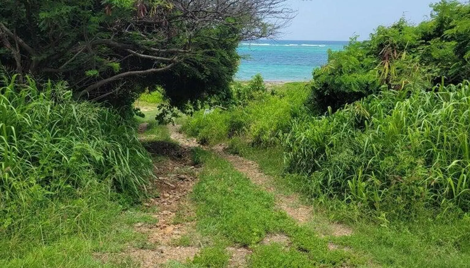 Image 7