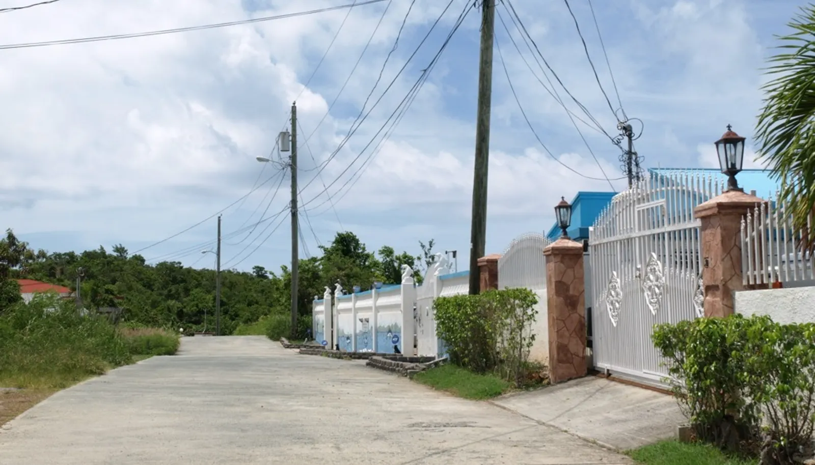 Image 36